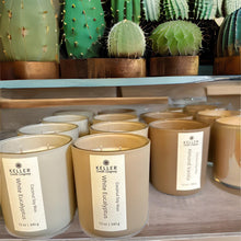 Load image into Gallery viewer, Aura Collection